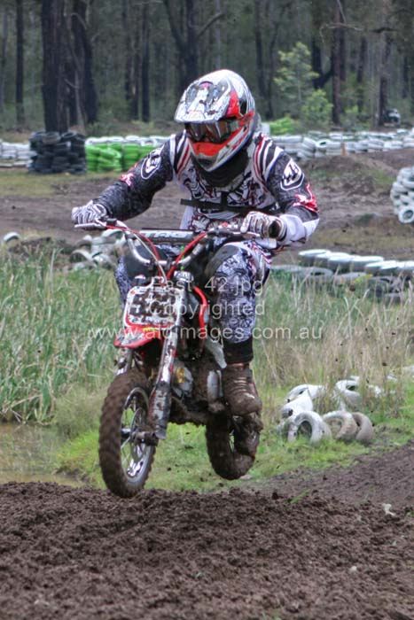 445x677 pixels (73K)